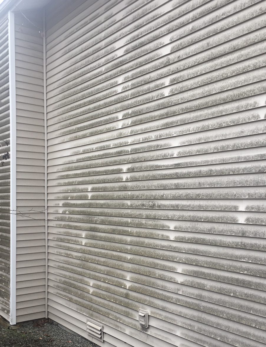 Before Washing Side Wall